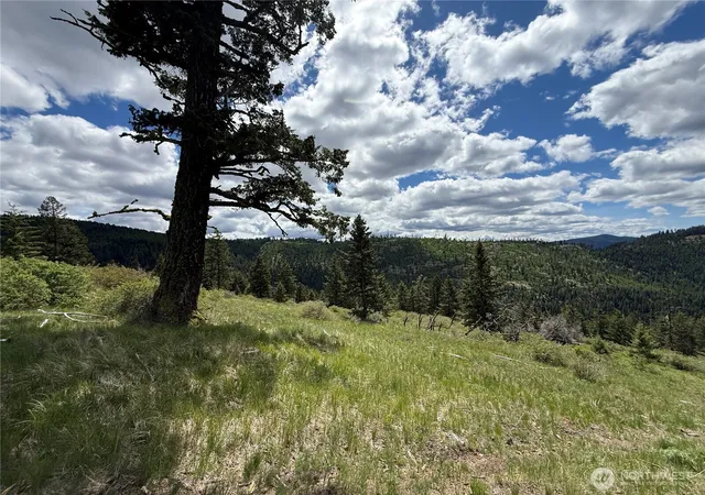 Photo 3 of Land for sale at 0 Old Sheridan Rd, Wauconda, WA 98859 | MLS# NWM2521949 | Listing updated on 2026-09-21