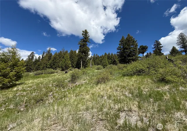 Photo 4 of Land for sale at 0 Old Sheridan Rd, Wauconda, WA 98859 | MLS# NWM2521949 | Listing updated on 2026-09-21