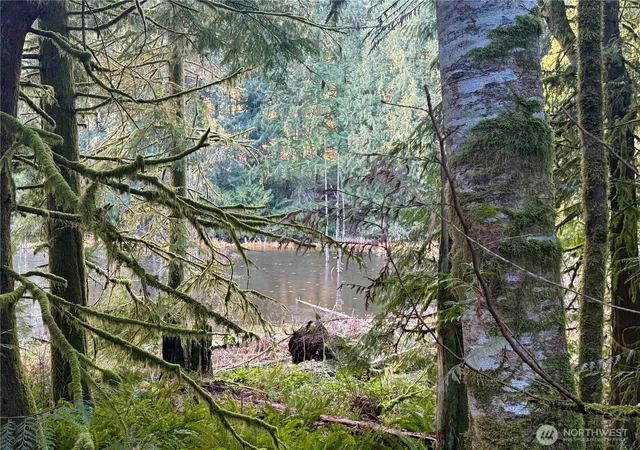 Photo 2 of Land for sale at 75 E Lakewood Dr, Belfair, WA 98528 | MLS# NWM2522045 | Listing updated on 2026-09-21