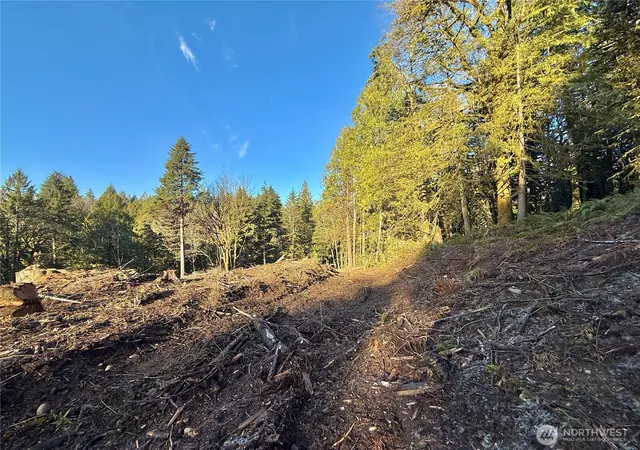 Photo 3 of Land for sale at 75 E Lakewood Dr, Belfair, WA 98528 | MLS# NWM2522045 | Listing updated on 2026-09-21