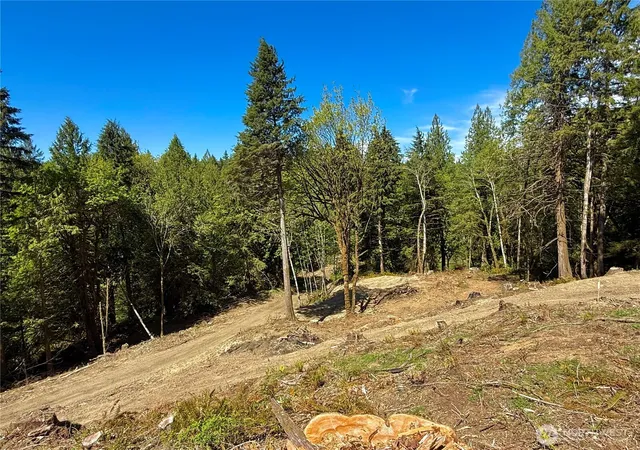 Photo 3 of Land for sale at 75 E Lakewood Dr, Belfair, WA 98528 | MLS# NWM2522045 | Listing updated on 2026-09-21