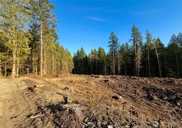 Photo 2 of Land for sale at 105 E Lakewood Dr, Belfair, WA 98528 | MLS# NWM2522048 | Listing updated on 2026-09-21