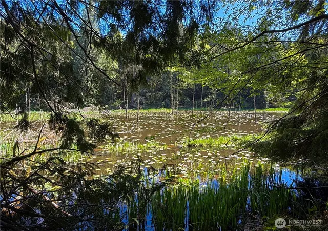 Photo 3 of Land for sale at 105 E Lakewood Dr, Belfair, WA 98528 | MLS# NWM2522048 | Listing updated on 2026-09-21
