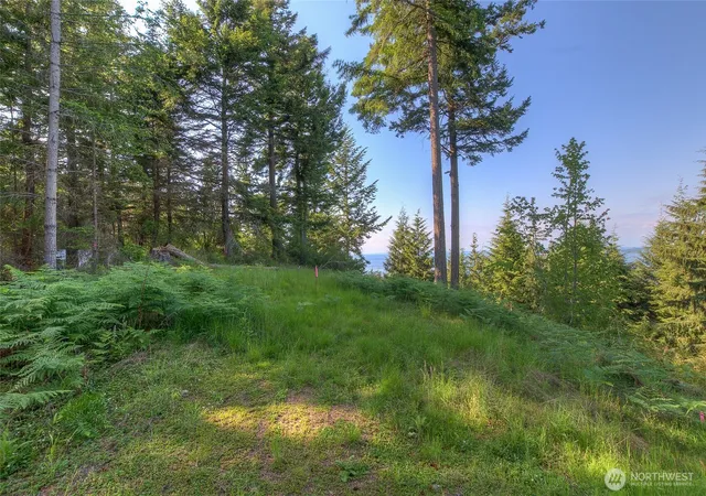 Photo 2 of Land for sale at 41 Raven Ln, Olga, WA 98279 | MLS# NWM2522075 | Listing updated on 2026-09-21