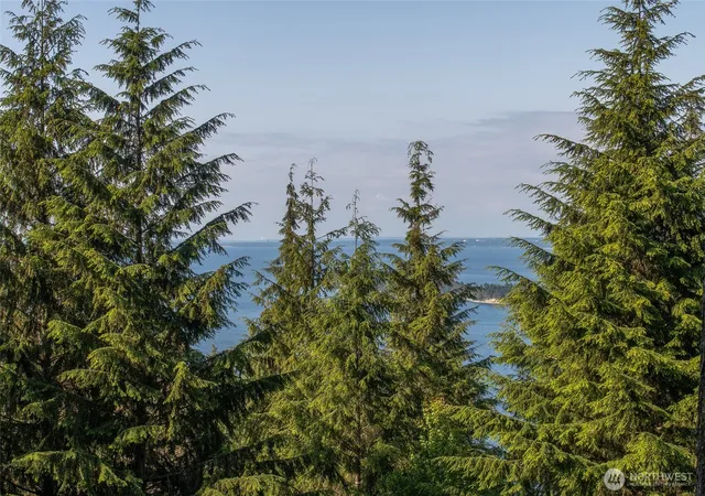 Photo 3 of Land for sale at 41 Raven Ln, Olga, WA 98279 | MLS# NWM2522075 | Listing updated on 2026-09-21