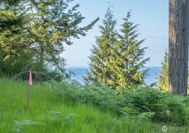 Photo 3 of Land for sale at 41 Raven Ln, Olga, WA 98279 | MLS# NWM2522075 | Listing updated on 2026-09-21