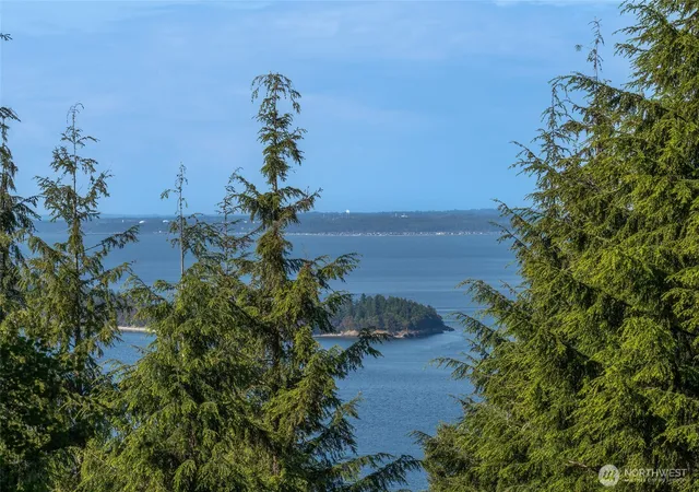 Photo 4 of Land for sale at 41 Raven Ln, Olga, WA 98279 | MLS# NWM2522075 | Listing updated on 2026-09-21