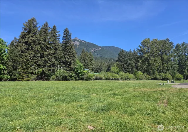 Photo 2 of Land for sale at 127 Campfire Ln, Packwood, WA 98361 | MLS# NWM2522152 | Listing updated on 2026-09-21