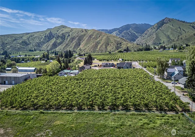 Photo 3 of Land for sale at 3925 Strutzel Rd, Monitor, WA 98836 | MLS# NWM2522217 | Listing updated on 2026-09-21