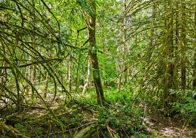 Photo 1 of Land for sale at 0 E Tr D Jared Rd, Shelton, WA 98584 | MLS# NWM2522229 | Listing updated on 2026-09-21