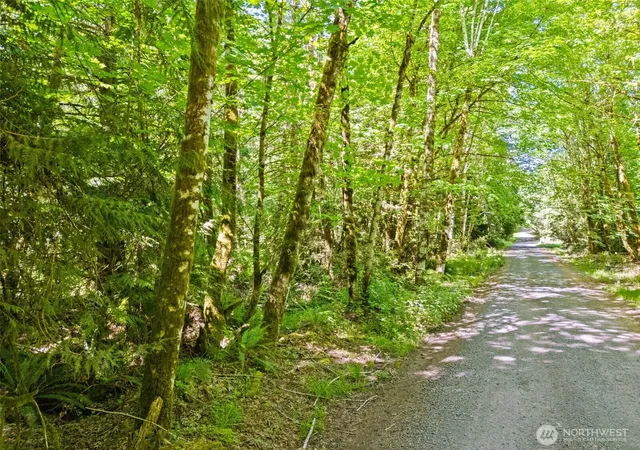 Photo 2 of Land for sale at 0 E Tr D Jared Rd, Shelton, WA 98584 | MLS# NWM2522229 | Listing updated on 2026-09-21