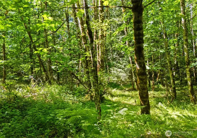 Photo 3 of Land for sale at 0 E Tr D Jared Rd, Shelton, WA 98584 | MLS# NWM2522229 | Listing updated on 2026-09-21