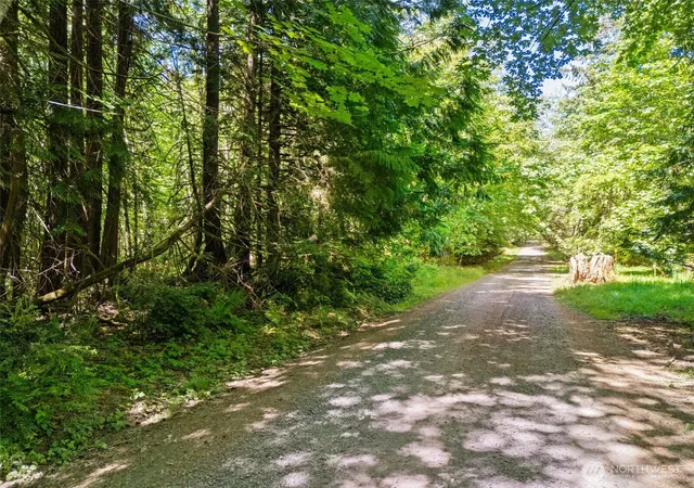 Photo 3 of Land for sale at 0 E Tr D Jared Rd, Shelton, WA 98584 | MLS# NWM2522229 | Listing updated on 2026-09-21