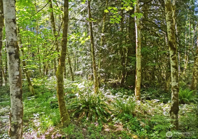 Photo 4 of Land for sale at 0 E Tr D Jared Rd, Shelton, WA 98584 | MLS# NWM2522229 | Listing updated on 2026-09-21