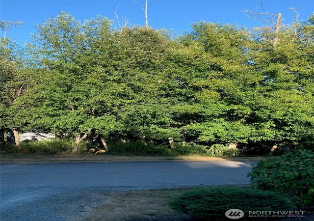 Photo 3 of Land for sale at 0 Xxx Brittany, Freeland, WA 98249 | MLS# NWM2522351 | Listing updated on 2026-09-21