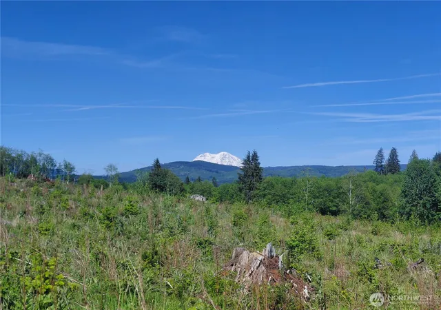 Photo 3 of Land for sale at 195 -82 Hagen Rd, Mossyrock, WA 98564 | MLS# NWM2522494 | Listing updated on 2026-09-24