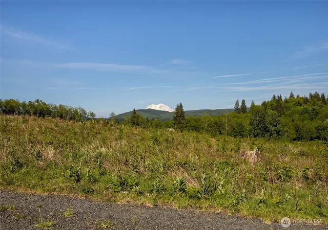 Photo 4 of Land for sale at 195 -82 Hagen Rd, Mossyrock, WA 98564 | MLS# NWM2522494 | Listing updated on 2026-09-24