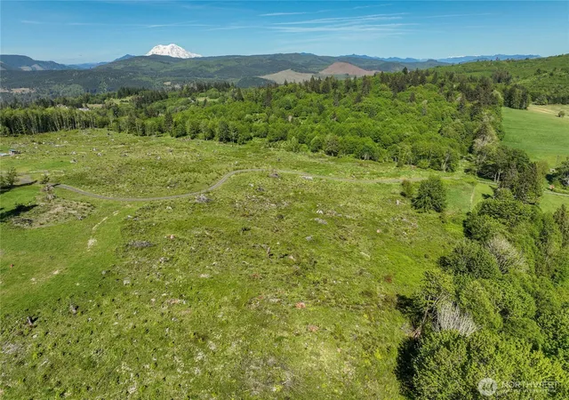 Photo 1 of Land for sale at 195  82 Hagen Rd, Mossyrock, WA 98564 | MLS# NWM2522494 | Listing updated on 2026-09-24