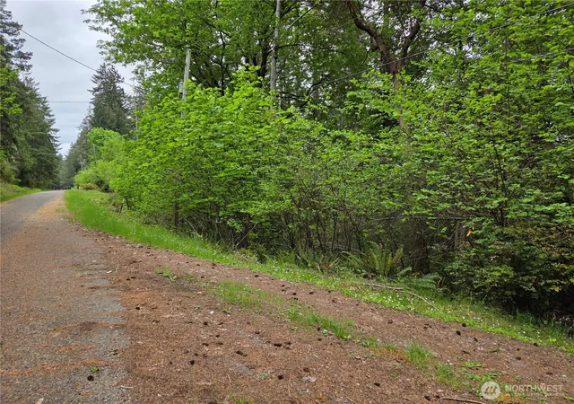 Photo 1 of Land for sale at 181 E Peale Dr, Shelton, WA 98584 | MLS# NWM2522652 | Listing updated on 2026-07-31