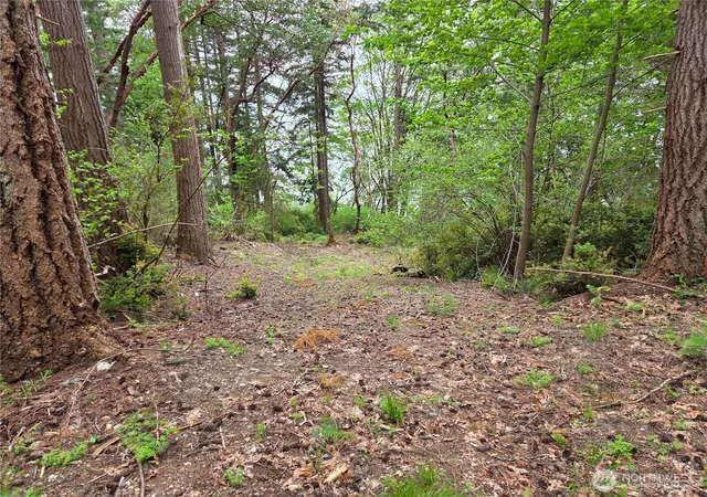 Photo 3 of Land for sale at 181 E Peale Dr, Shelton, WA 98584 | MLS# NWM2522652 | Listing updated on 2026-07-31