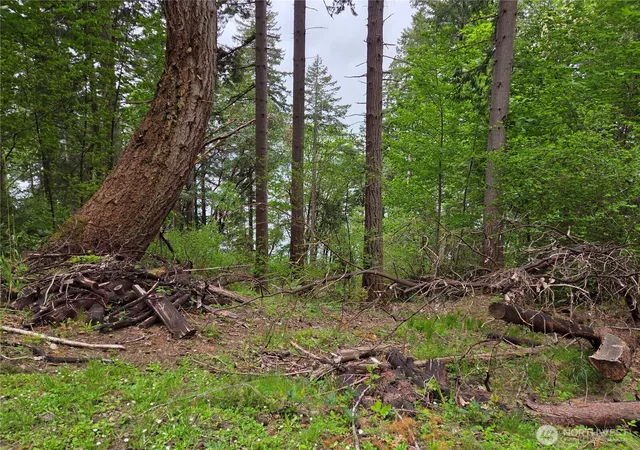 Photo 3 of Land for sale at 181 E Peale Dr, Shelton, WA 98584 | MLS# NWM2522652 | Listing updated on 2026-07-31