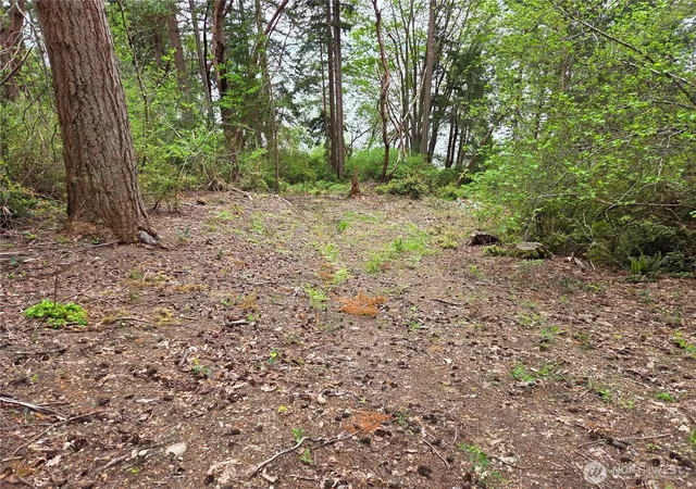 Photo 4 of Land for sale at 181 E Peale Dr, Shelton, WA 98584 | MLS# NWM2522652 | Listing updated on 2026-07-31