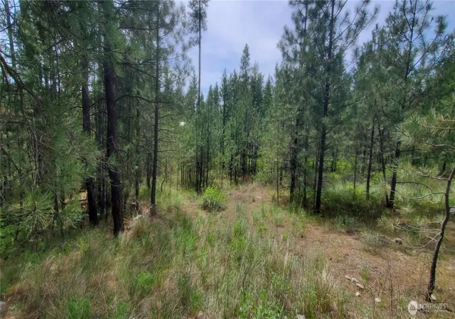 Photo 1 of Land for sale at 6 Lot Okanogan River Ranches Div 1, Tonasket, WA 98855 | MLS# NWM2522766 | Listing updated on 2026-09-21