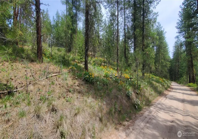 Photo 3 of Land for sale at 6 Lot Okanogan River Ranches Div 1, Tonasket, WA 98855 | MLS# NWM2522766 | Listing updated on 2026-09-21
