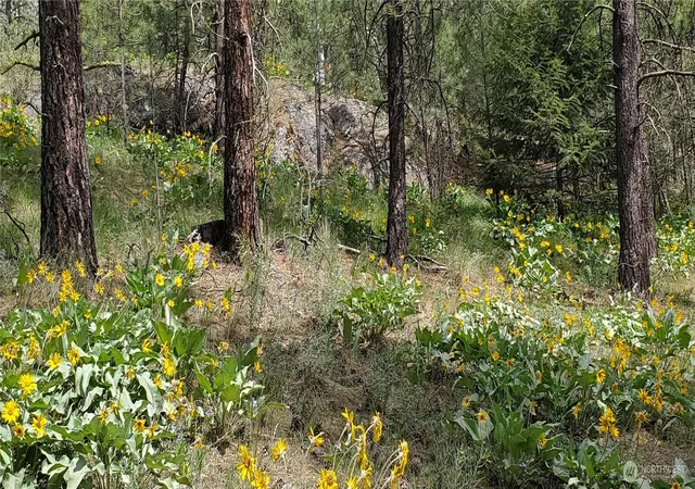 Photo 3 of Land for sale at 6 Lot Okanogan River Ranches Div 1, Tonasket, WA 98855 | MLS# NWM2522766 | Listing updated on 2026-09-21