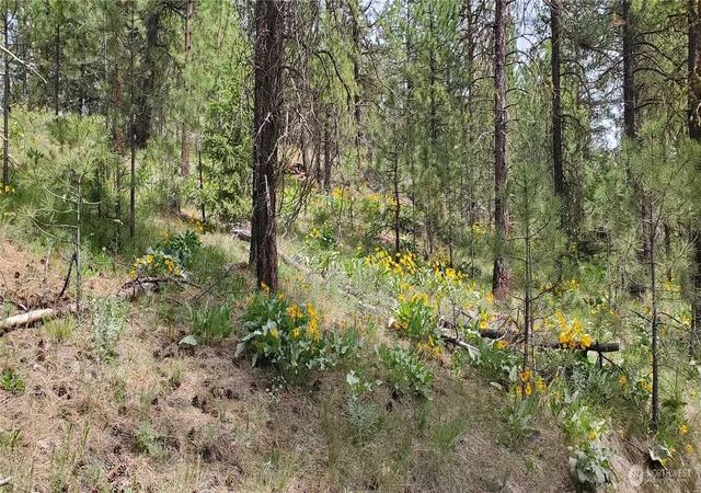 Photo 4 of Land for sale at 6 Lot Okanogan River Ranches Div 1, Tonasket, WA 98855 | MLS# NWM2522766 | Listing updated on 2026-09-21