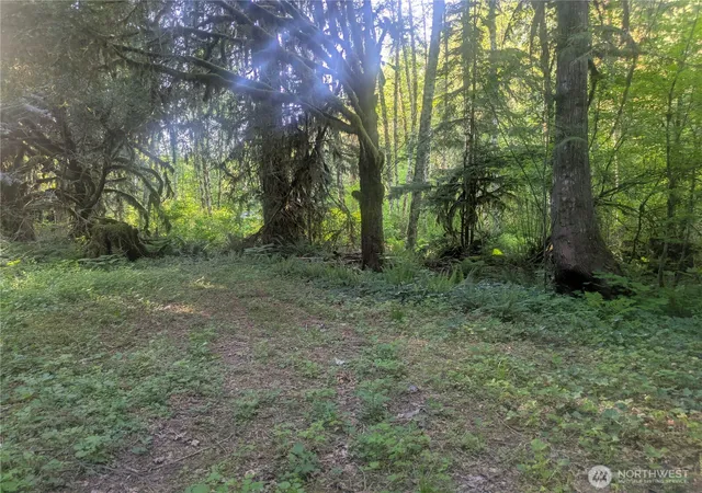 Land for sale at 63323 W Cascade Way #D3-19, Marblemount, WA 98267 | MLS# NWM2522812