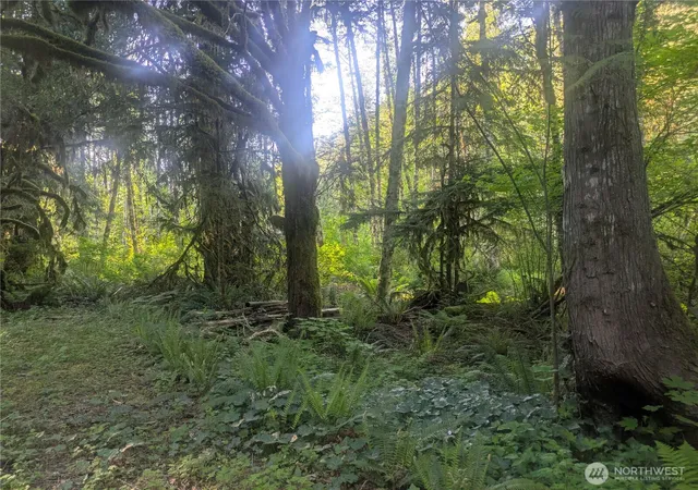 Photo 3 of Land for sale at 63323 W Cascade Way #D3-19, Marblemount, WA 98267 | MLS# NWM2522812 | Listing updated on 2026-09-21