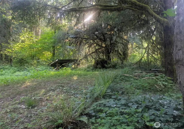 Photo 3 of Land for sale at 63323 W Cascade Way #D3-19, Marblemount, WA 98267 | MLS# NWM2522812 | Listing updated on 2026-09-21