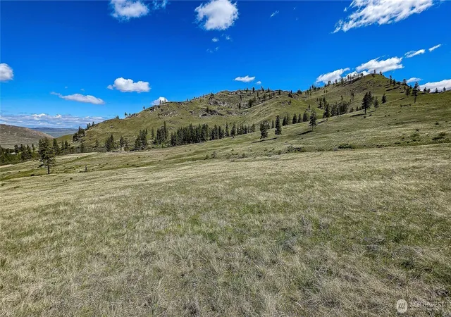 Photo 4 of Land for sale at 1 Washington Crk Rd, Chelan, WA 98816 | MLS# NWM2523291 | Listing updated on 2026-09-21