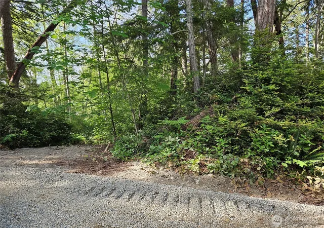 Photo 1 of Land for sale at 0 Nka Fox Rd, Quilcene, WA 98376 | MLS# NWM2523496 | Listing updated on 2026-09-21