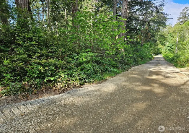 Photo 3 of Land for sale at 0 Nka Fox Rd, Quilcene, WA 98376 | MLS# NWM2523496 | Listing updated on 2026-09-21