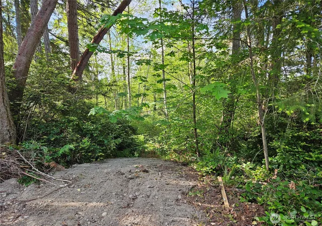 Photo 4 of Land for sale at 0 Nka Fox Rd, Quilcene, WA 98376 | MLS# NWM2523496 | Listing updated on 2026-09-21