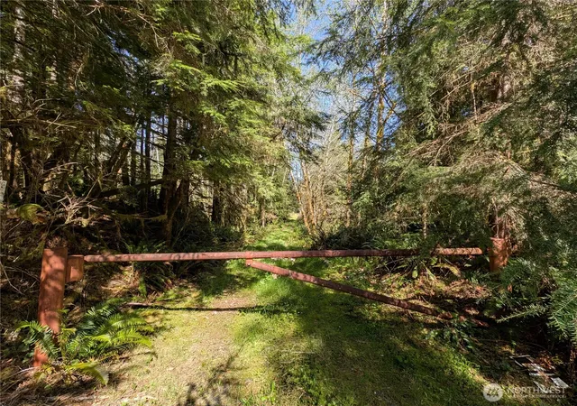 Photo 3 of Land for sale at 999 Hoh River Park Dr, Forks, WA 98331 | MLS# NWM2523510 | Listing updated on 2026-09-21