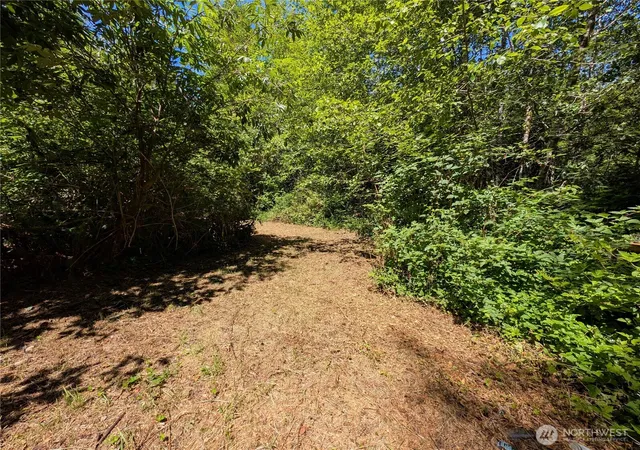 Photo 3 of Land for sale at 999 Hoh River Park Dr, Forks, WA 98331 | MLS# NWM2523510 | Listing updated on 2026-09-21