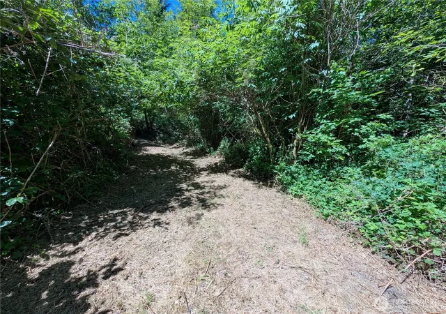 Photo 4 of Land for sale at 999 Hoh River Park Dr, Forks, WA 98331 | MLS# NWM2523510 | Listing updated on 2026-09-21