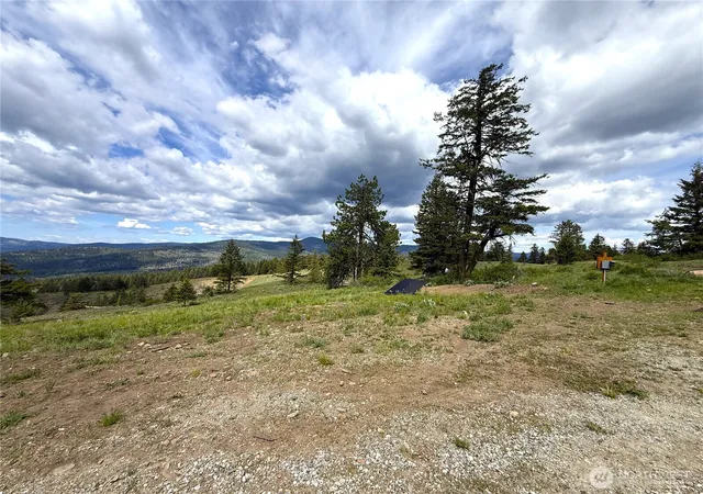 Photo 4 of Single family home for sale at 19 Union Ridge Spur Rd, Republic, WA 99166 | MLS# NWM2523513 | Listing updated on 2026-09-28