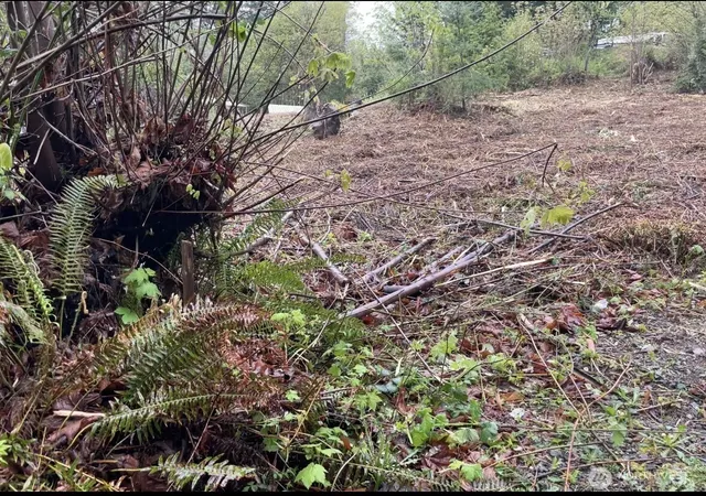 Photo 2 of Land for sale at 0 Lot State Route 3, Belfair, WA 98528 | MLS# NWM2523721 | Listing updated on 2026-09-21