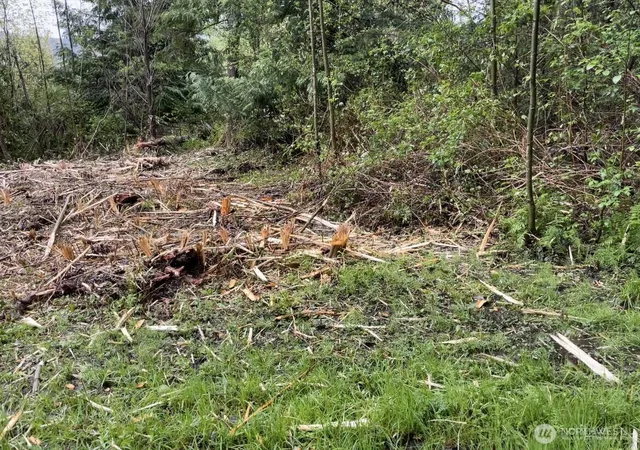 Photo 3 of Land for sale at 0 Lot State Route 3, Belfair, WA 98528 | MLS# NWM2523721 | Listing updated on 2026-09-21
