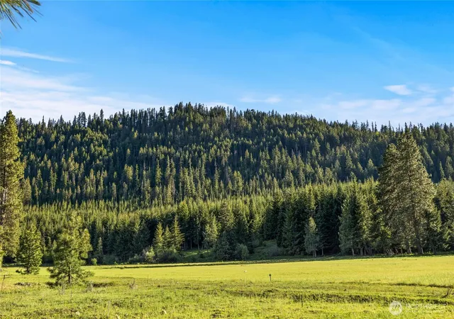 Photo 3 of Land for sale at 20 Domerie Park Loop, Cle Elum, WA 98922 | MLS# NWM2523856 | Listing updated on 2026-09-21