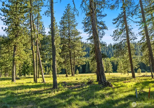 Photo 4 of Land for sale at 20 Domerie Park Loop, Cle Elum, WA 98922 | MLS# NWM2523856 | Listing updated on 2026-09-21