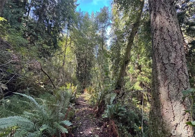 Photo 3 of Sale Pending at 0 Heggeness Rd, Clinton, WA 98236 | MLS# NWM2523976 | Listing updated on 2026-09-20