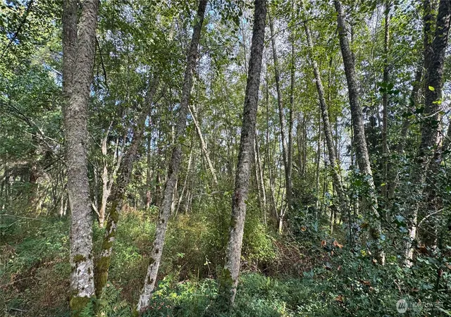 Photo 3 of Sale Pending at 0 Heggeness Rd, Clinton, WA 98236 | MLS# NWM2523976 | Listing updated on 2026-09-20