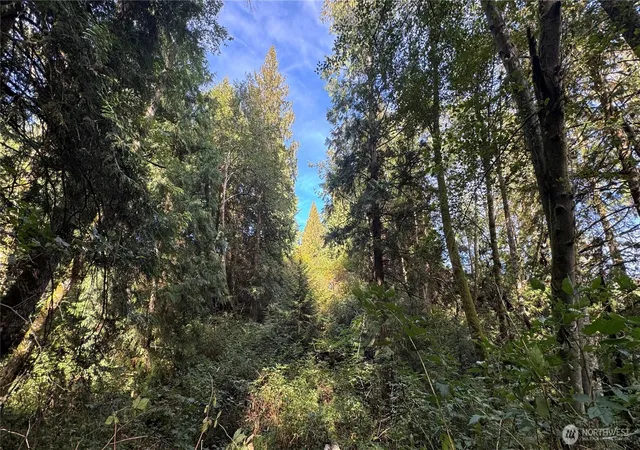 Photo 4 of Sale Pending at 0 Heggeness Rd, Clinton, WA 98236 | MLS# NWM2523976 | Listing updated on 2026-09-20