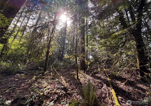 Photo 3 of Land for sale at 3021 NW Beth Ln, Poulsbo, WA 98370 | MLS# NWM2524039 | Listing updated on 2026-09-21