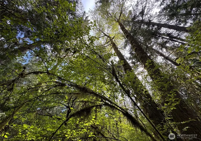 Photo 4 of Land for sale at 3021 NW Beth Ln, Poulsbo, WA 98370 | MLS# NWM2524039 | Listing updated on 2026-09-21
